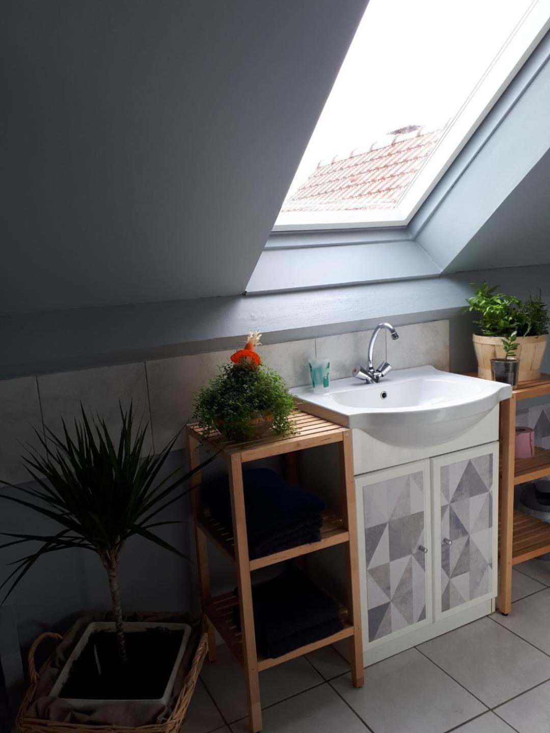 Chez Bea Apartment Saint-Ouen-en-Belin Ngoại thất bức ảnh